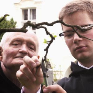 Film über St. Peter