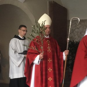 Bei der Palmprozession © Erzabtei