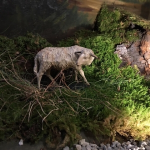 Krippe Stiftskirche - Verkündigung 5 © Erzabtei