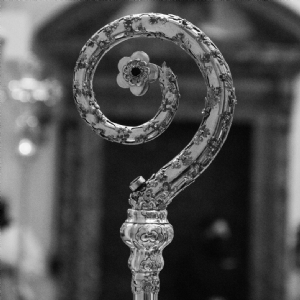 Goldprofess und Wahltag 3 © P. Alkuin