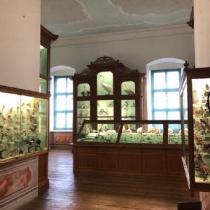 Konventausflug nach Kremsmünster - 2 © Erzabtei