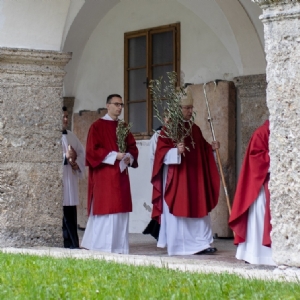 Palmsonntag 2023 - 4 © P. Alkuin