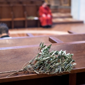 Palmsonntag 2023 - 25 © P. Alkuin