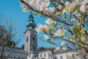 Außenansicht Stiftskirche St. Peter mit Blüten © Michael Rieß